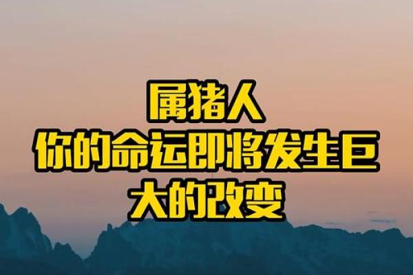 2019年猪年：猪命最好的人生哲学与生活智慧