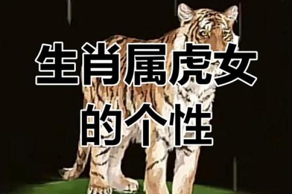 1963年虎年：解密属虎之人的命运与性格特征
