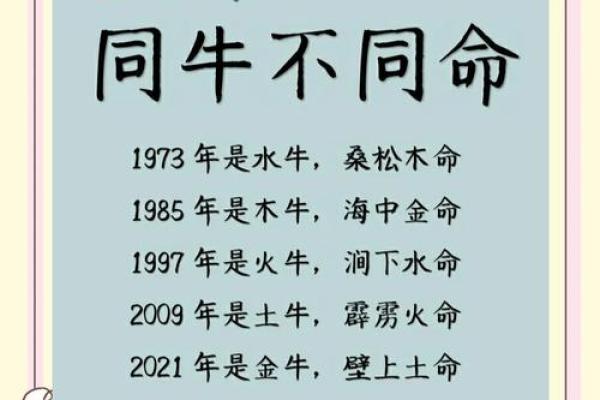 1997年出生的牛命解析：运势、性格与未来发展