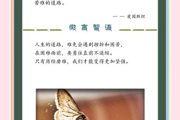 双飞蝴蝶的命运与预兆:探秘自然界的美丽信使 双飞蝴蝶的命运与预兆:探秘自然界的美丽信使