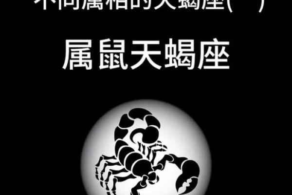 2004年生肖属什么命?探索鼠年人们的命运与性格特征 2004年生肖属什么命?探索鼠年人们的命运与性格特征