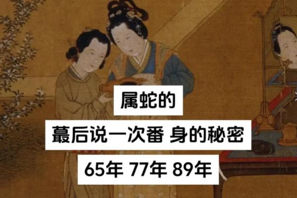 1965年属蛇人的命运探索：揭开神秘面纱的秘密之旅