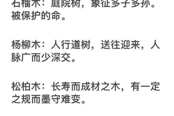 女木命适合的生意：探寻木命人的商业机遇与发展方向