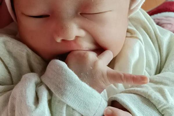 2019年正月出生宝宝命理解析：开启幸福人生的钥匙