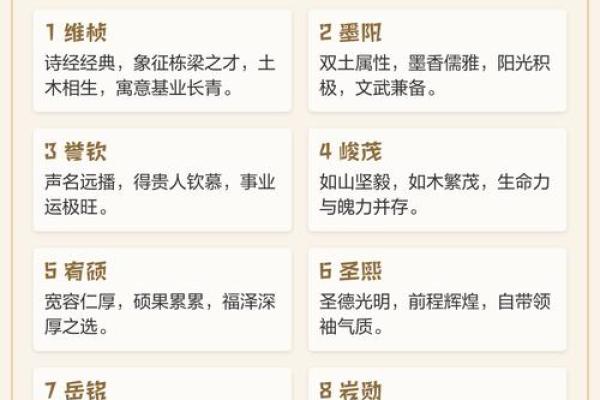 探索2020土上壁命：缺什么与如何弥补的深度解析