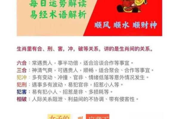 九头命与生肖解析：揭示命运的奥秘与生肖的神秘之美