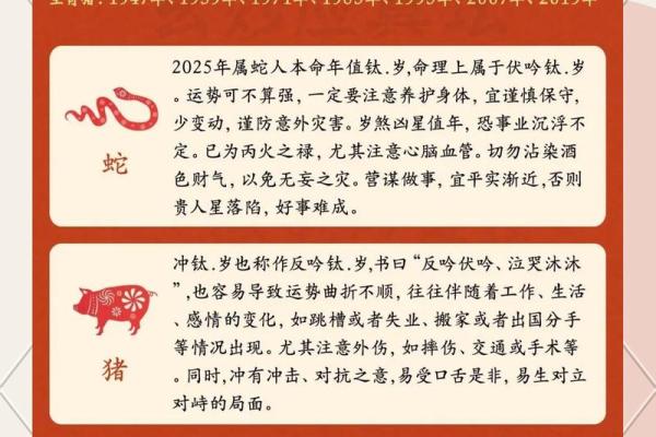 1972年腊月出生的人，命运与性格的深度解析
