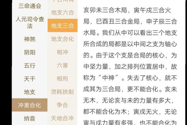 2018年狗年命理解析：如何更好地把握运势与生活机遇