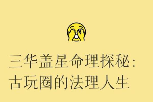 探索人生的五种命运：华盖之外的选择与勇气