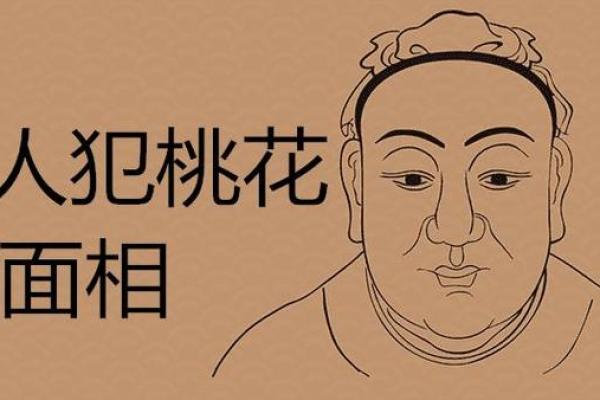 属猪桃花命的神秘解析与桃花运的提升技巧 属猪桃花命的神秘解析与桃花运的提升技巧