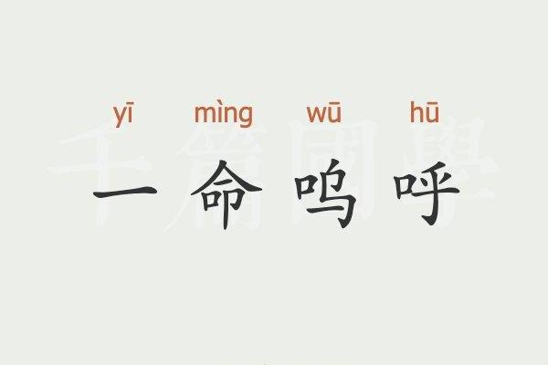 一命救六命：当生命与责任交织的瞬间