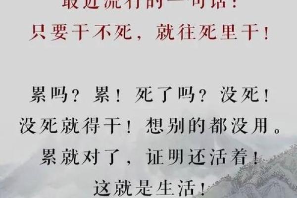 2019年出生的孩子命运解析：如何把握人生的方向与机遇