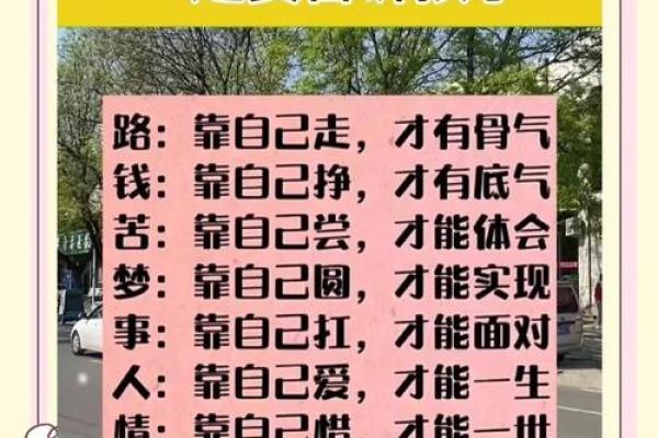 2019年出生的孩子命运解析：如何把握人生的方向与机遇