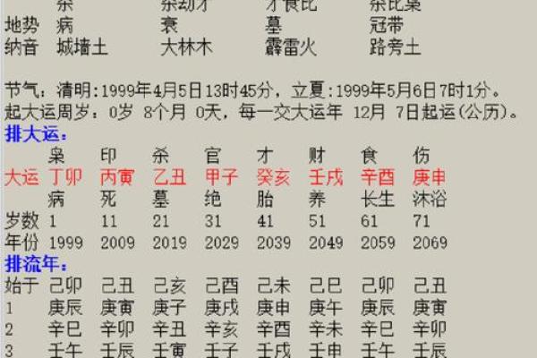 丁未戊申年命理解析：深度揭秘你的命运之路