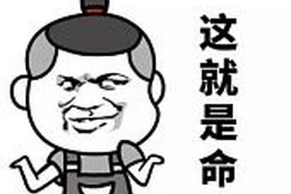 探索《什么命呀》的深刻内涵与情感表达
