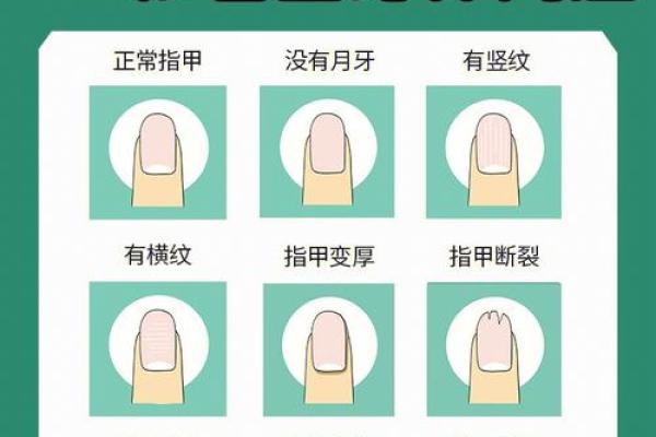 通过指甲形状看命格，揭示你的命运与性格