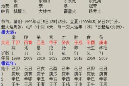 丁未戊申年命理解析：深度揭秘你的命运之路