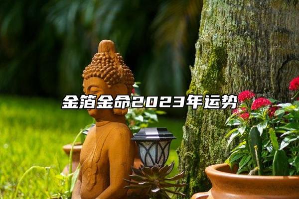 2023年金箔金命之人运势分析：需注意的五大要素与机遇