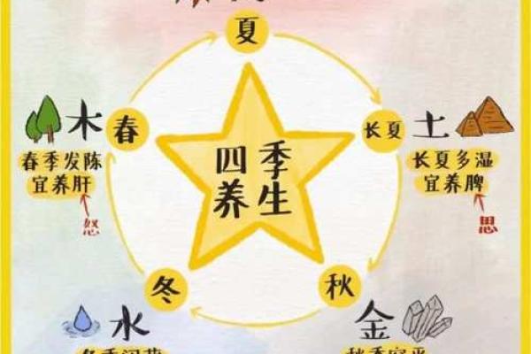 木命与金命、火命的相配探讨：命理中的和谐美学