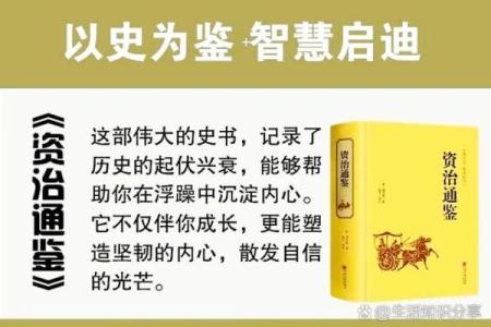 传承与创新：从历史深处汲取智慧，启迪未来发展之路
