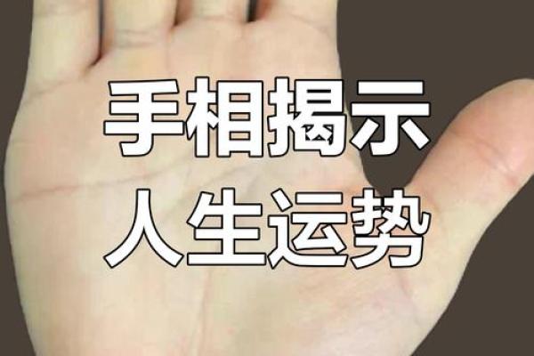 揭秘命理：从手掌纹路看你的人生轨迹与命运选择