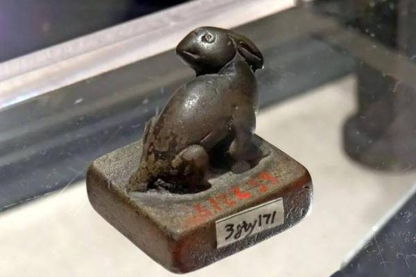 玉兔与金兔：不同命运的生肖解析与人生启示