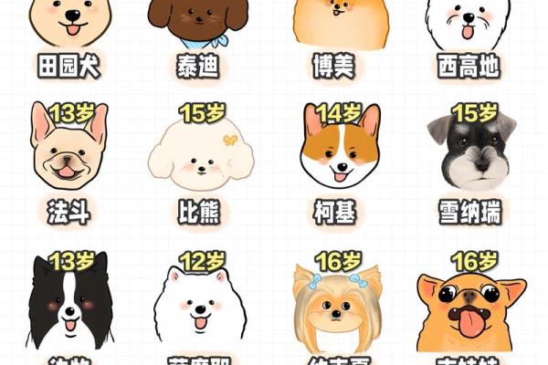 不同命格如何选择适合自己的宠物,助你人生顺风顺水! 不同命格如何选择适合自己的宠物,助你人生顺风顺水!