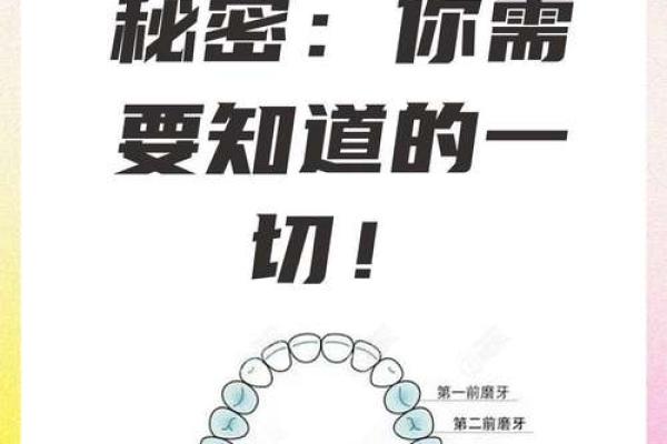 牙齿的奥秘:24颗牙齿背后的命运与健康关系 牙齿的奥秘:24颗牙齿背后的命运与健康关系