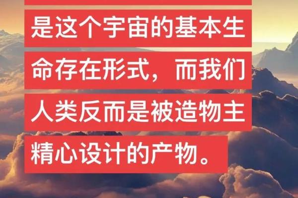 2006年出生的人命理解析：探寻生命的奥秘与未来的可能