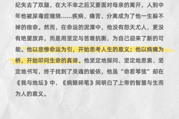 探索亡命与先命:生存的哲学与选择 探索亡命与先命:生存的哲学与选择