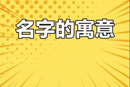 同名异用：为何同一个名字承载着不同的命运？