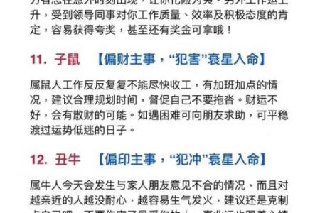 命理水运：解读与生肖的深刻关系与运势提升
