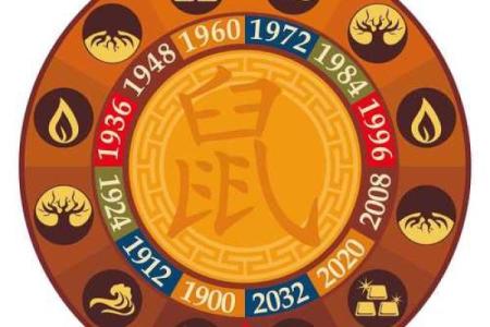 1994年出生的狗年人，命理与性格解析
