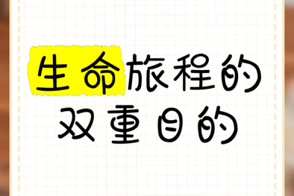 探讨旅行者的双命与三命之谜：生命的意义与价值