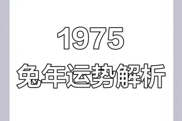 探索1965年属兔人的命理：性格、运势与人生之旅