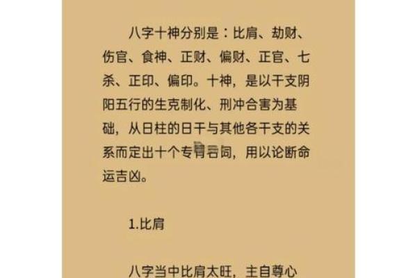 探讨11月26日的命理影响，揭示你的命运新篇章