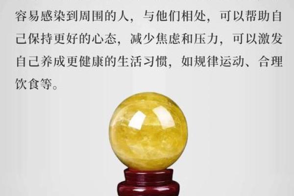 2019年属什么命？探索命理与缺失之道，让你在新的一年中更聪明选择！