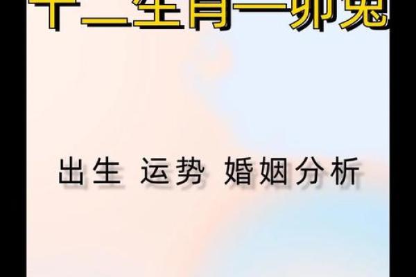 属兔鸡的命理解析：探寻属兔与属鸡的和谐之道