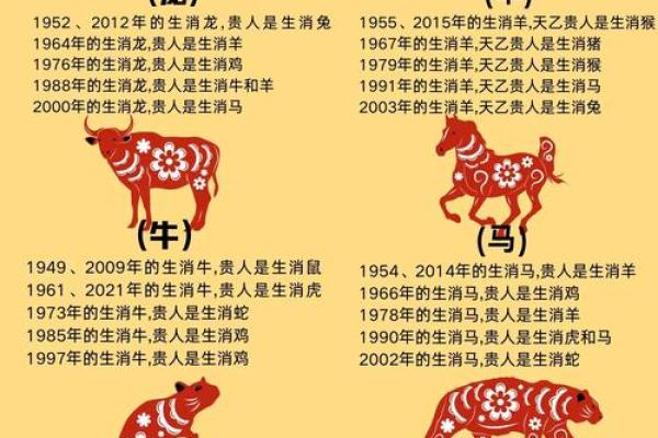 2004年出生的人命理解析：命运与运势的深度分析