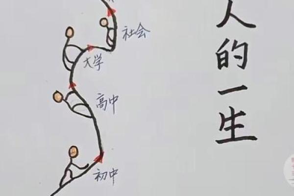 命里格局：一生的旅程与成就，解析你的命理特质