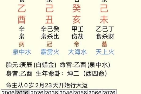 腊月女性命运与性格探秘：解读81年出生的女性特质