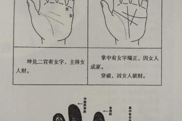 解读2004年出生者的命运:属猴的金命奥秘 解读2004年出生者的命运:属猴的金命奥秘