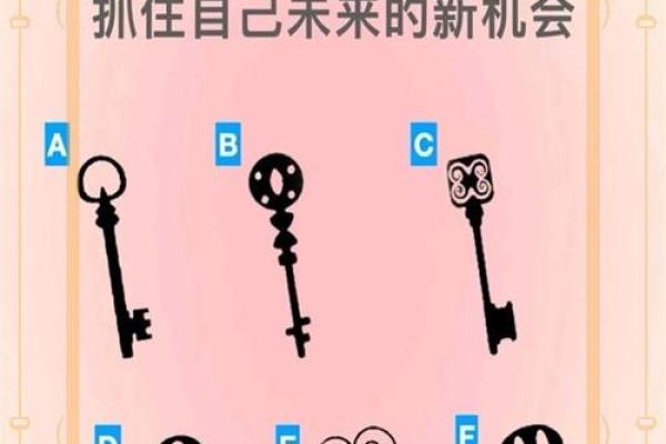 2017年属鸡人的命运解析：揭开你未来的神秘面纱
