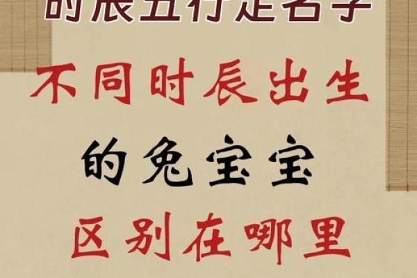 2022兔宝宝命理揭秘：如何为兔年出生的孩子规划未来生涯？