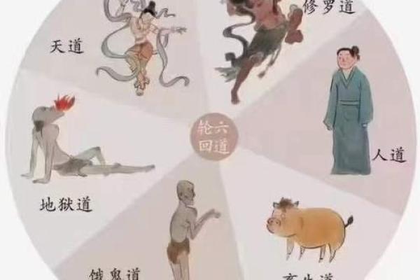 探讨寅时和申时的命运解析：揭开八字中的神秘面纱