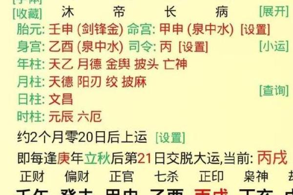 探讨寅时和申时的命运解析：揭开八字中的神秘面纱
