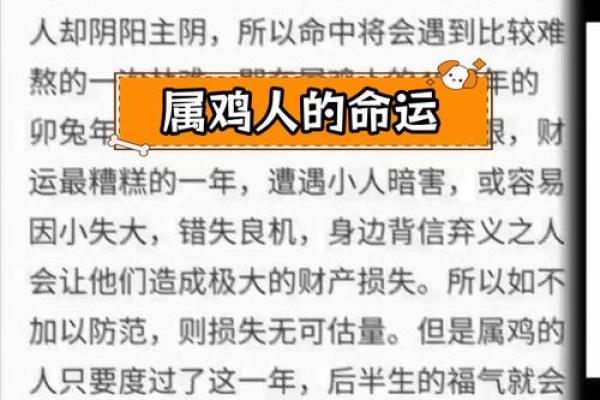 1993属鸡男的命运分析与人生智慧 1993属鸡男的命运分析与人生智慧