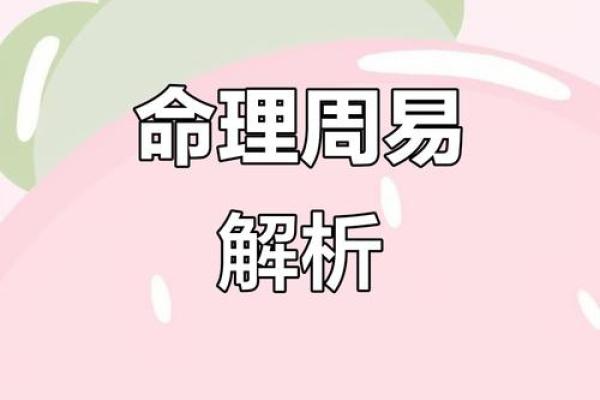 1995年出生的属什么命？解读命运背后的秘密与机遇