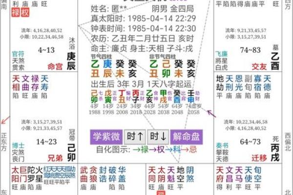 辛丑年命理解读:探究你的财富与人生方向 辛丑年命理解读:探究你的财富与人生方向