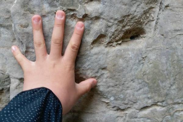 解密石榴木命:自然之力与命理智慧的交汇点 解密石榴木命:自然之力与命理智慧的交汇点